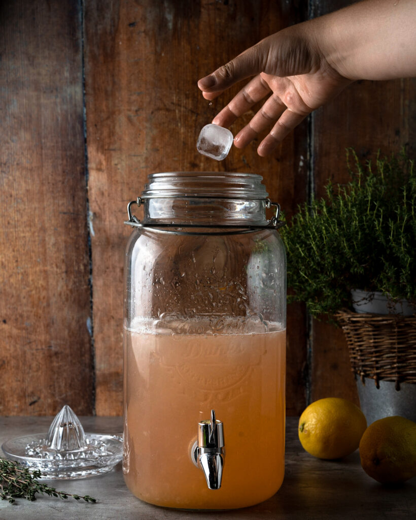 Rosemary Peach Lemonade Ice